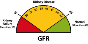 GFR - kidney disease meter